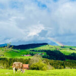 A huesle – die Ferienunterkunft in Oberreute im Allgäu, Deutschland