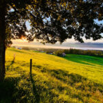 A huesle – die Ferienunterkunft in Oberreute im Allgäu, Deutschland